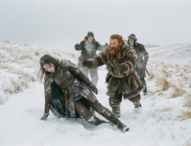 La Visión Clara: La Caída