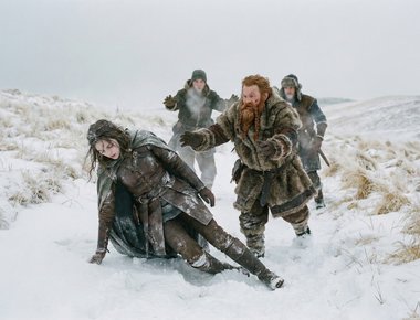 The Clear Sight: The Fall