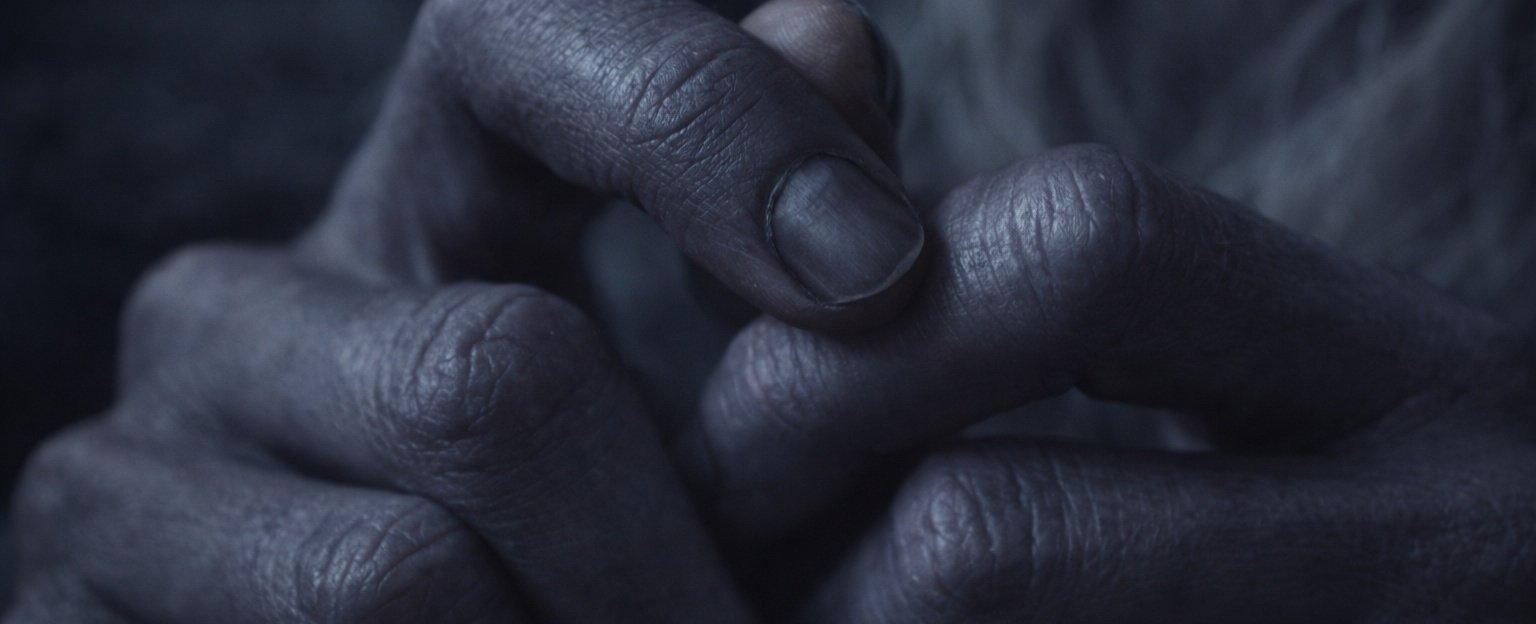 Voices in the Dark: The Distant Voice