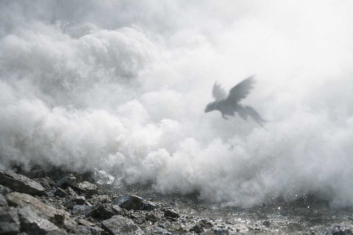 A Coatly confused and disoriented in the dense smoke