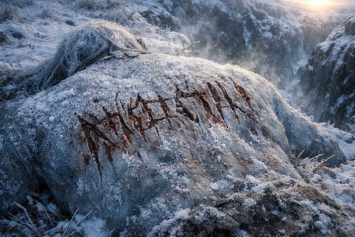 Message carved into the giant's back